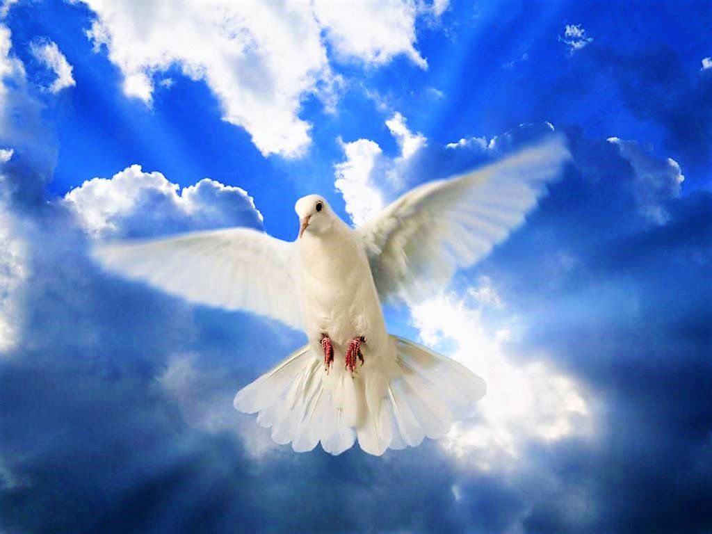 Как принято отмечать День Святого Духа, и что нельзя делать - | Диалог.UA